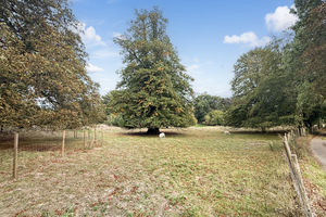Photo 33- click for photo gallery